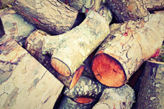 Lye wood burning boiler costs